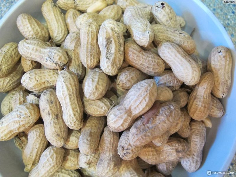 Арахіс у шкаралупі неочищений Peanuts Alesto, 500 г, Німеччина, сушений, обсмажений 1950991912 фото